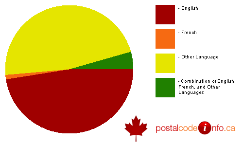 Breakdown of languages spoken in households in Mississauga, ON