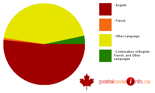 Breakdown of languages spoken in households in Surrey, BC