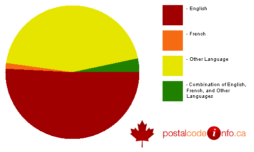 Breakdown of languages spoken in households in Toronto, ON