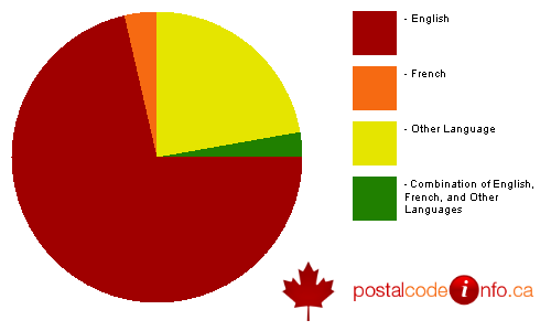 Breakdown of languages spoken in households in Winnipeg, MB